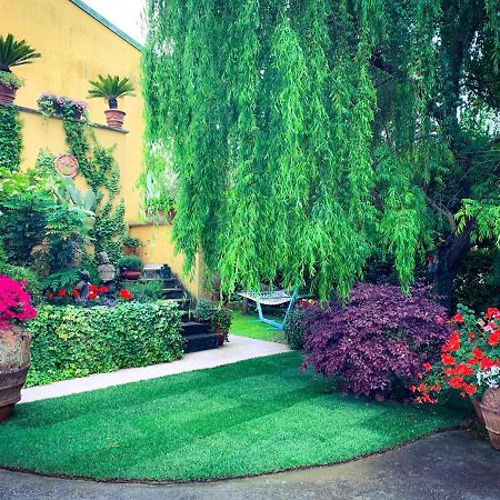 Bed and Breakfast Le Pinette Ameglia Exterior foto