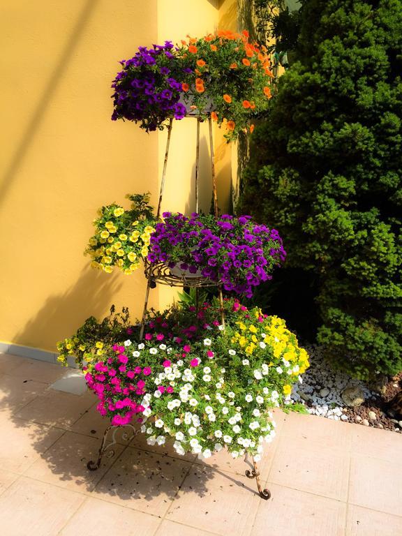 Bed and Breakfast Le Pinette Ameglia Exterior foto