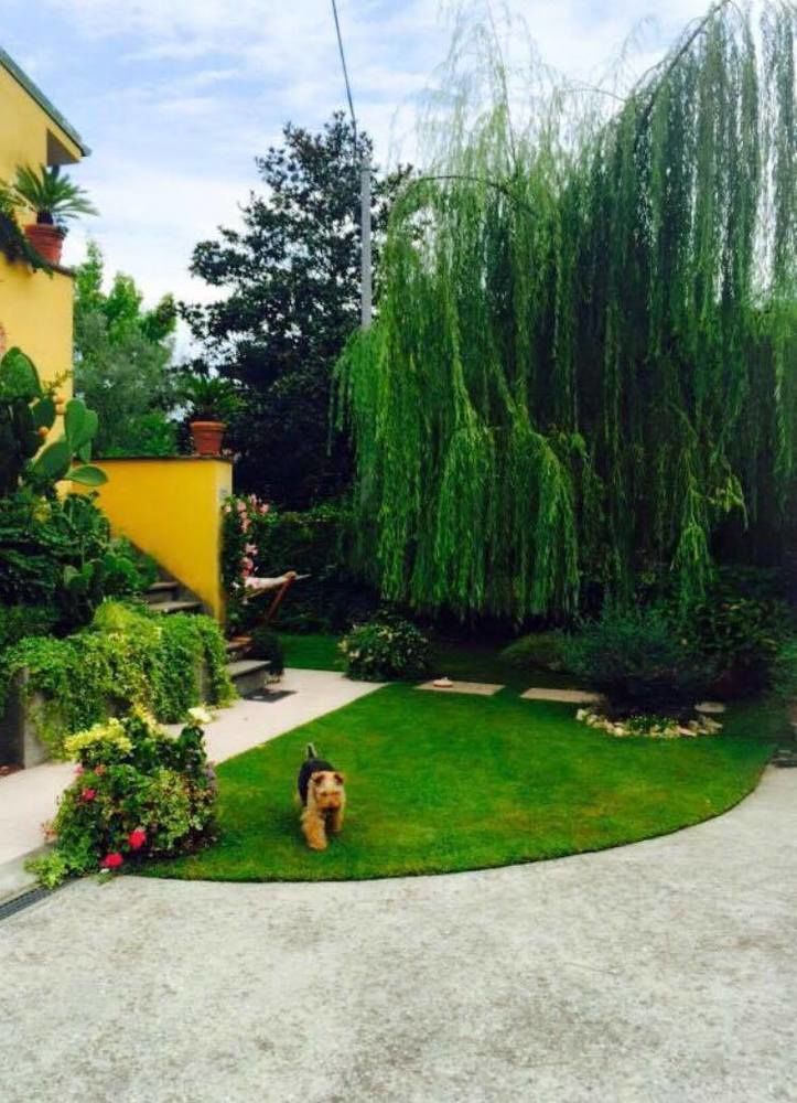Bed and Breakfast Le Pinette Ameglia Exterior foto